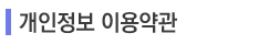 �������� �̿���